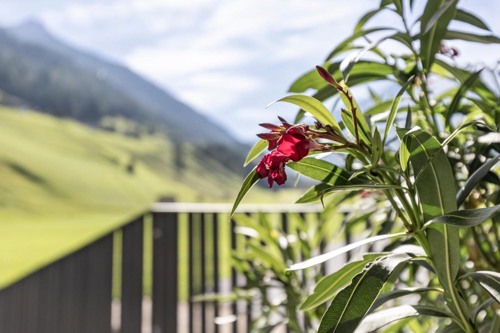 Bergmadl Apartments Neustift im Stubaital Exterior photo